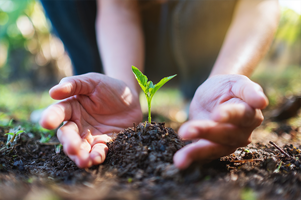 Environmental Sciences - Study in Europe with vibedu