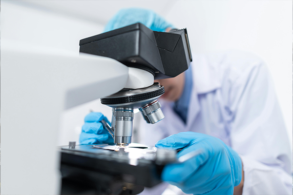 Medical Sciences - Study in Europe with vibedu