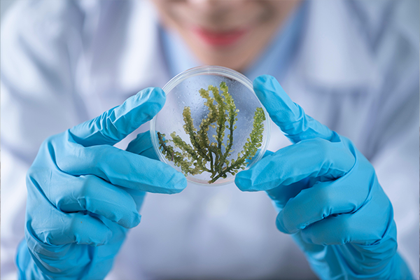 Study in Ireland 34 Life Sciences & Biotechnology - Study in Ireland with vibedu