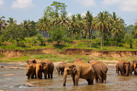Budget Kerala Tour Kerala Tour Package Holiday Vibez