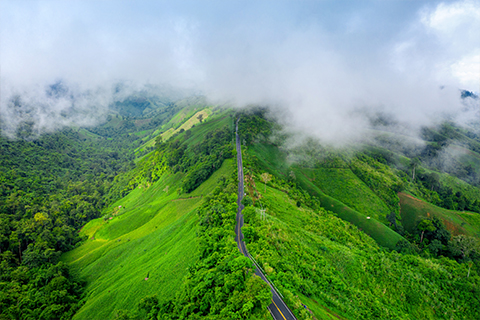 Budget Munnar Hill Station Tour Kerala Tour Package Holiday Vibez