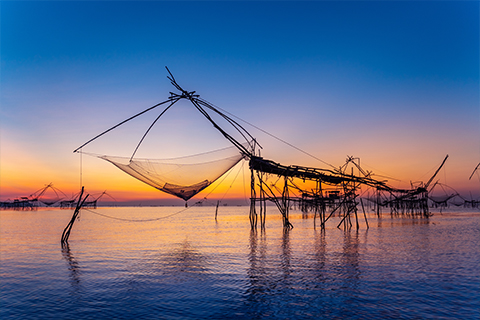 Budget Kerala Complete Tour Kerala Tour Package Holiday Vibez