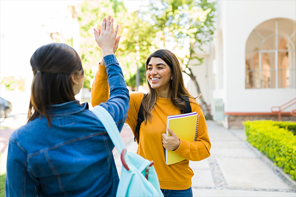 Study in New Zealand 3 study in New Zealand with Vibedu - Admission Requirements