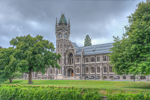 Study in New Zealand 6 study in New Zealand with Vibedu - Intake Periods