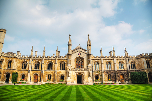 UK University Intakes