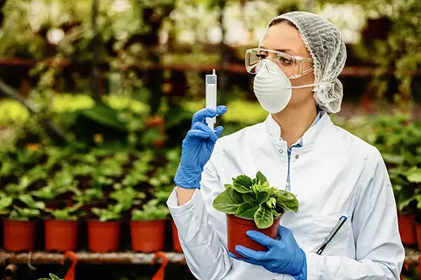 Environmental Science and Sustainability