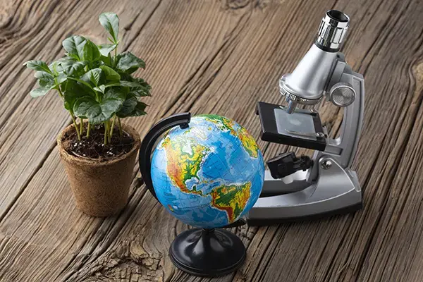 Social Sciences and Humanities