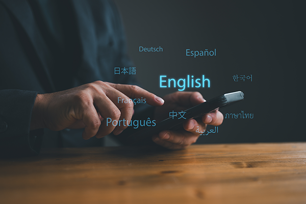 Language Skills